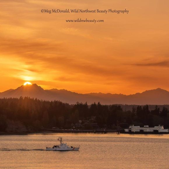 Meet your Posher, Jeffrey - Picture 1 of 1